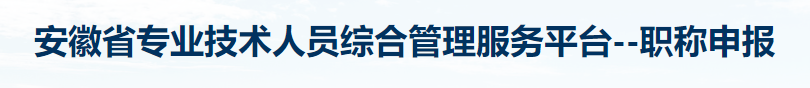 合肥市专业技术人员支撑评审系统